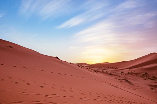 A landscape of sand dunes with animal tracks against a sunset sky