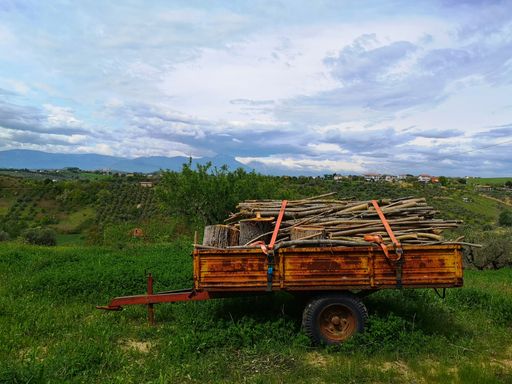An agricultural trailer at a field with chopped wood and logs