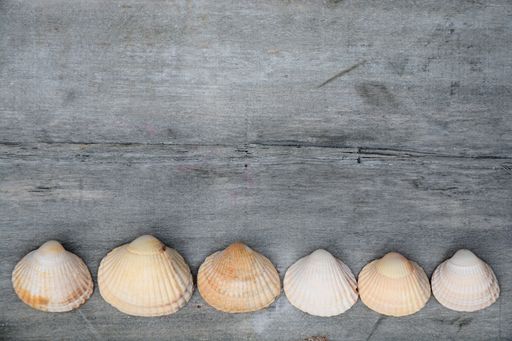 A high angle view of different seashells on a wooden table under the lights - nice for wallpapers