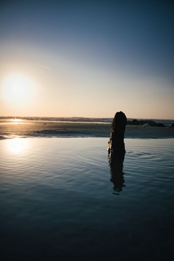 A vertical of the sun setting and reflecting on the surface of the sea