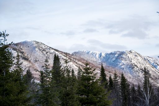 A pine evergreen forest on the mountainside, mountains covered with snow under sunlight and cloudy sky