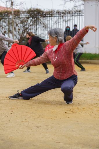 Madrid, Spain. February 27, 2022: Tai Chi teacher practicing with her students in a park