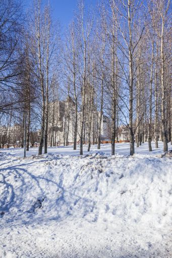 A vertical shot of a church obstructed by trees during winter in a park near Yauza River, Moscow