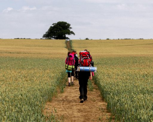 An eye-level shot of hikers with heavy backpacks walking through a path in a field