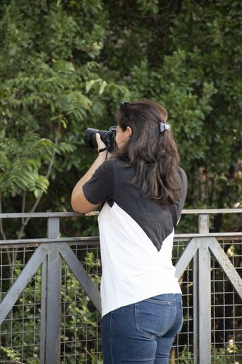 A vertical shot of a woman taking pictures at the park
