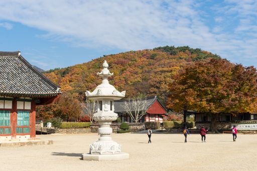 A view of the Seonunsa temple grounds in Gochang-gun, South Korea with autumn trees in the background