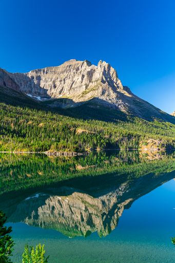 A vertical landscape of a high mountain with green forest near the clear sea under the blue sky