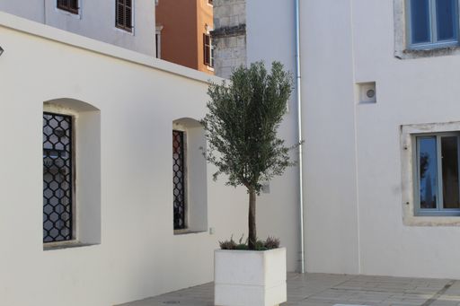 A vertical shot of the exterior of the building with a potted plant on the foreground