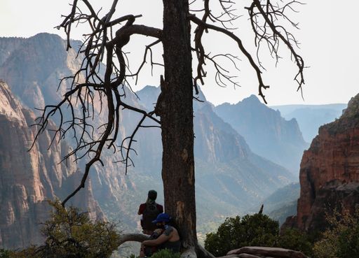a photo of tourist on a tree against of mountains