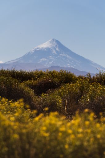 A vertical shot of beautiful field on the background of a mountain on a sunny day