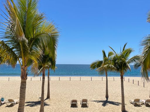 Palm trees and beach chairs on the beach of San Jose del Cabo, in Baja California Sur, Mexico.