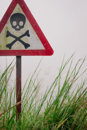 A vertical shot of a painted skull on a sign planted in grass