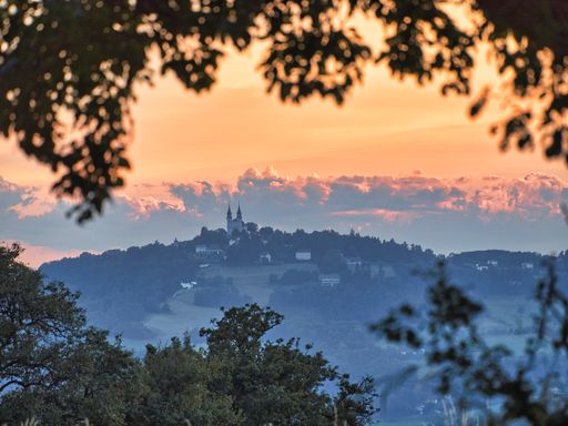 A mesmerizing view of a town on the hills under a cloudy sky through the branches of trees