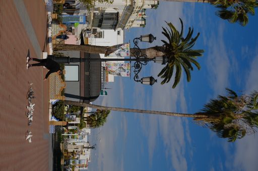 An Old woman feeding pigeons  at Plaza de la coronacion Ayamonte, Andalusia, Spain