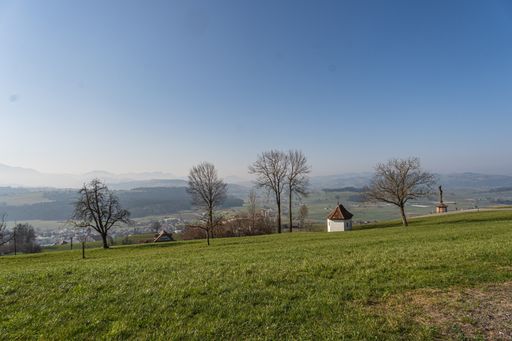 A scenic view of a small hut in the middle of a green meadow on blue sky background