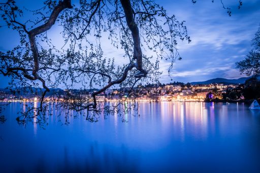 A beautiful shot of Lake Lugano through tree branches at night with illuminated buildings on the shore