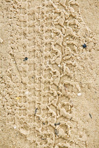 A vertical top view shot of a trail of car wheel formed on sand