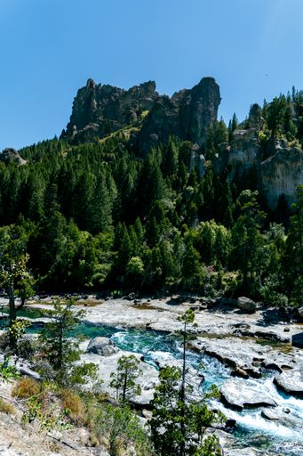 A vertical of a river flowing through rocky banks against mountains covered with pine forests on a sunny day
