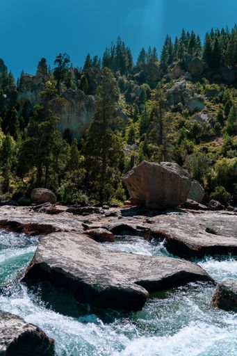 A vertical of a river flowing through rocky banks against mountains covered with pine forests on a sunny day
