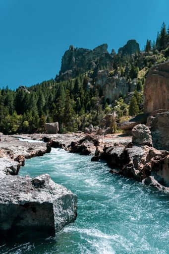 A vertical of a river flowing through rocky banks against mountains covered with pine forests on a sunny day