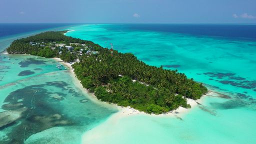 An aerial beautiful view of seascape in background of growing trees under blue bright sky in Maldives
