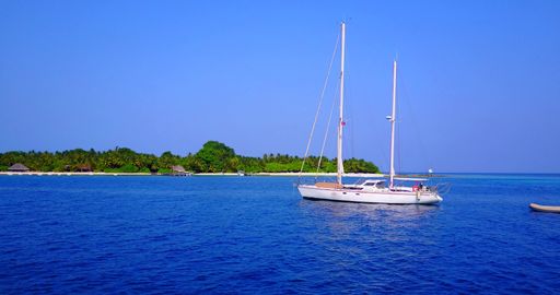 An aerial view of boat floating on sea in background of growing trees