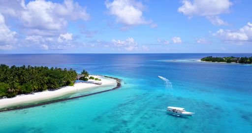 An aerial view of sea surrounded by growing trees in Maldives