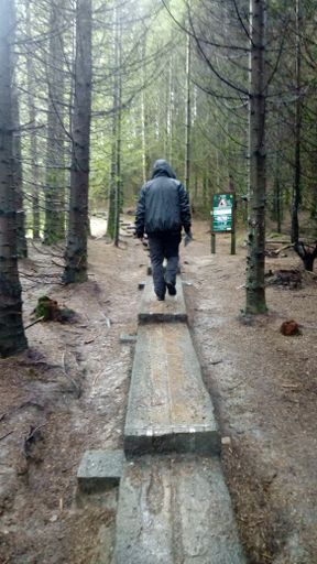 A vertical shot of a man walking on the stairs surrounded by trees of the forest