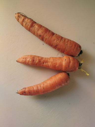 A top view of three ripe carrots on a white table