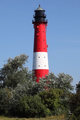 A closeup of a lighthouse with a tree in the foreground