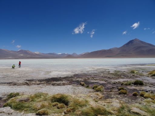 The Eduardo Avaroa Andean Fauna National Reserve under the blue sky
