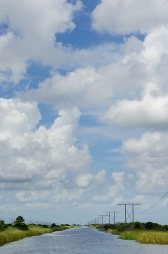 A vertical shot of the road in Everglades, Florida captured on a cloudy day