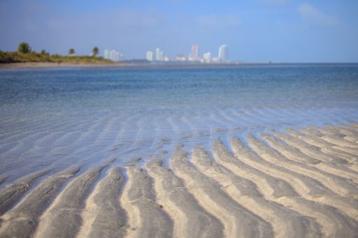 A beautiful view of the calm ocean gleaming under the cloudy blue sky on the coast