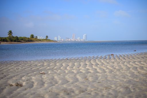 A beautiful view of the calm ocean gleaming under the cloudy blue sky on the coast