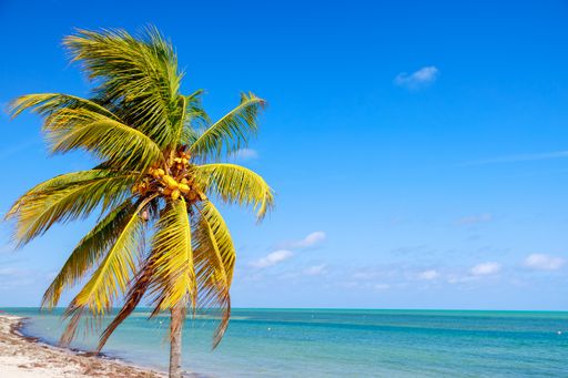 A beautiful view of the calm ocean gleaming under the cloudy blue sky on the coast
