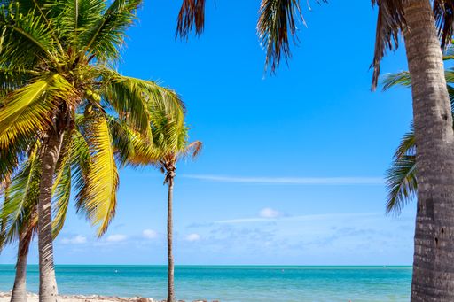 A beautiful view of the calm ocean gleaming under the cloudy blue sky on the coast