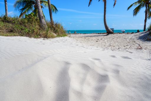 A beautiful view of the sandy beach on the coast of Florida