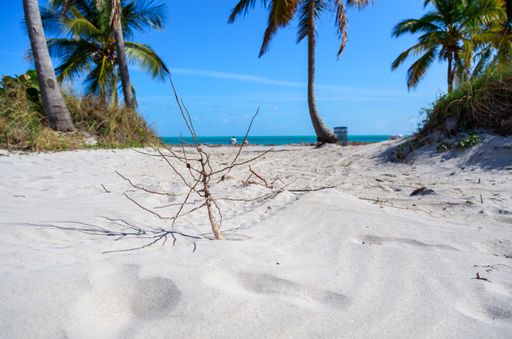 A beautiful view of the sandy beach on the coast of Florida