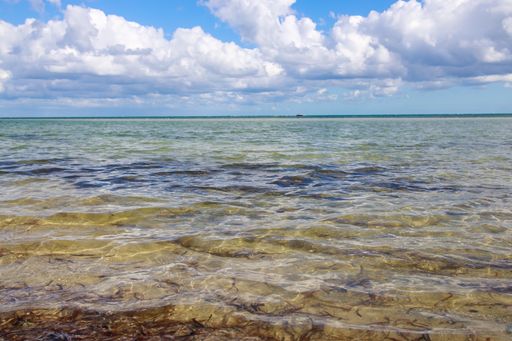 A beautiful view of the calm ocean gleaming under the cloudy blue sky on the coast