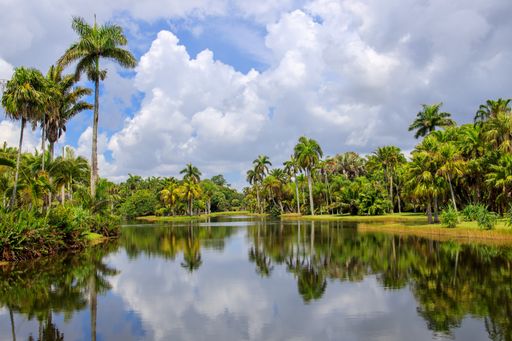 The Fairchild Tropical Botanic Garden on cloudy sky background in Miami, Florida