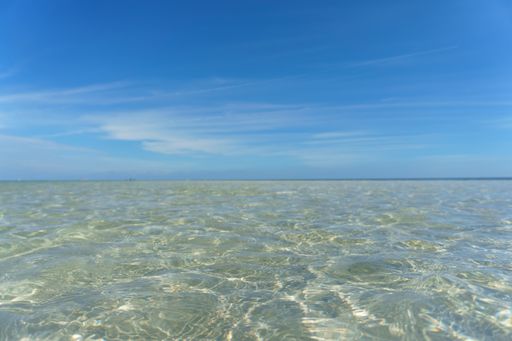 A beautiful view of the calm ocean gleaming under the cloudy blue sky on the coast