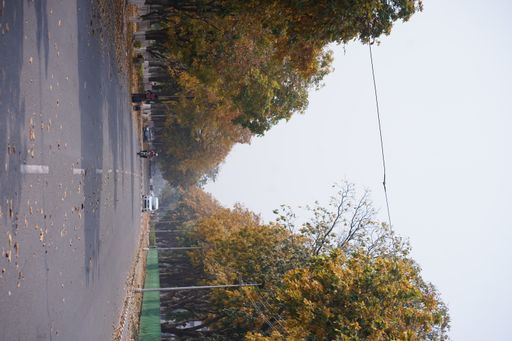 A road with a car and motorbike surrounded by autumn trees in Chandigarh