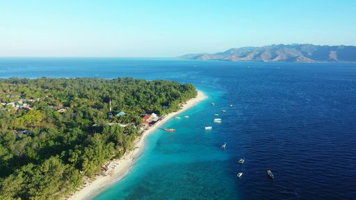 An aerial view of houses on the beach covered with greenery against a turquoise sea on a sunny day