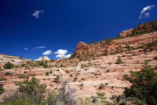 A rocky landscape in Zion National Park, USA