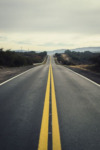 A vertical shot of an empty road surrounded by greenery under a cloudy sky