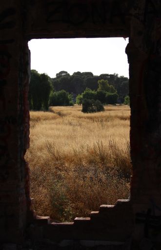 A vertical shot of an abandoned building 's open window with a field on the background