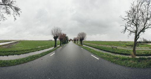 A long asphalt road surrounded by dry trees under the cloudy sky in autumn