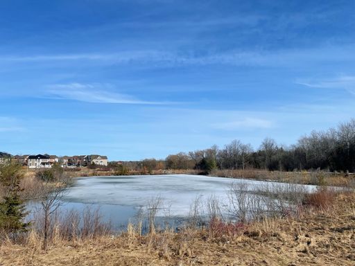 A view of a frozen small pond surrounded by dry grass under the clear blue sky