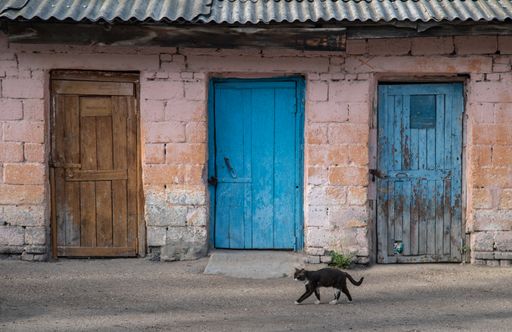 The old outbuildings. Homeless cats on the background of doors of different colors.