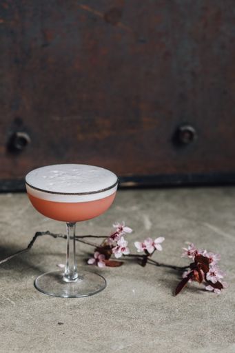 Pink cherry blossom gin flip egg white cocktail still life